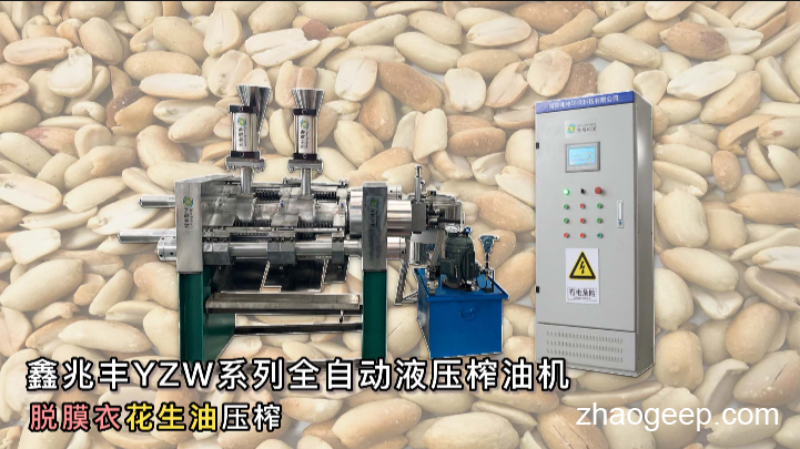 鑫兆丰YZW新型全自动液压榨油机 冷榨花生油 