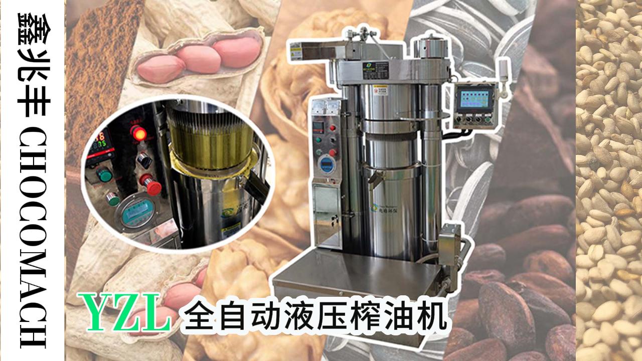 兆格环保YZL韩式液压榨油机