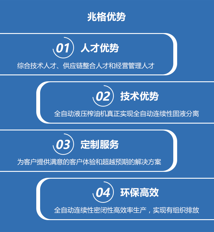 洛阳兆格环保科技有限公司