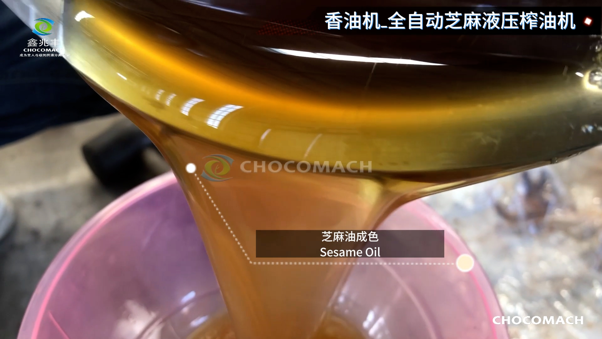 兆格环保YZYW全自动芝麻液压香油机压榨芝麻油