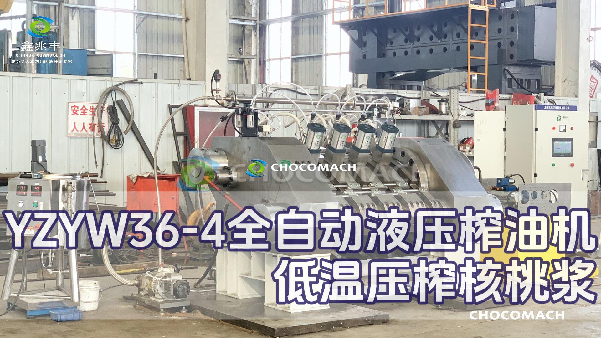 洛阳兆格环保YZYW36-4全自动核桃榨油机