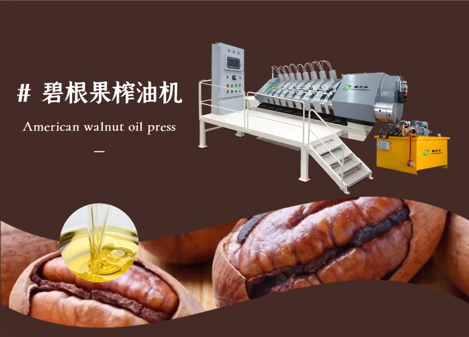 全自动液压榨油机_YZYW42-6_美国核桃│碧根果榨油机