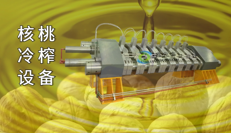 全自动卧式液压核桃榨油机工业项目案例