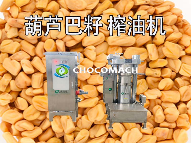 液压榨油机压榨葫芦巴籽油